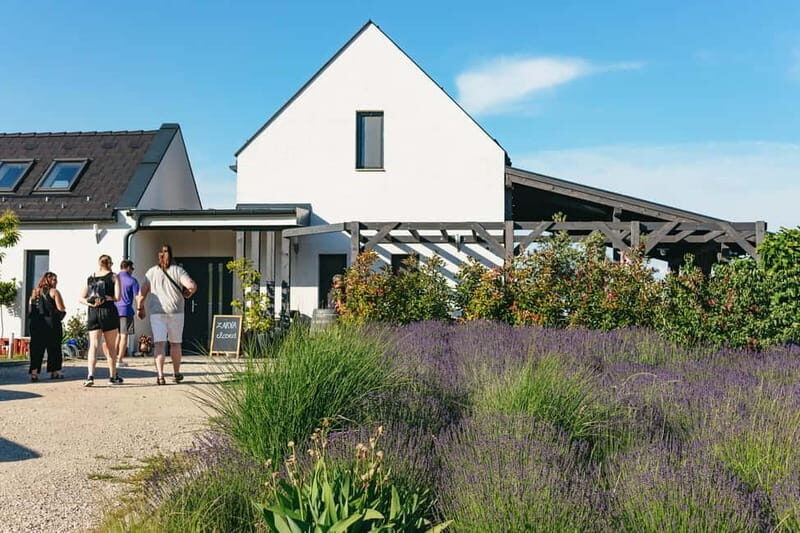 From Budapest: Etyek Wine Tasting Tour with 3-Course Meal - Exploring Etyek’s Family-Owned Wineries