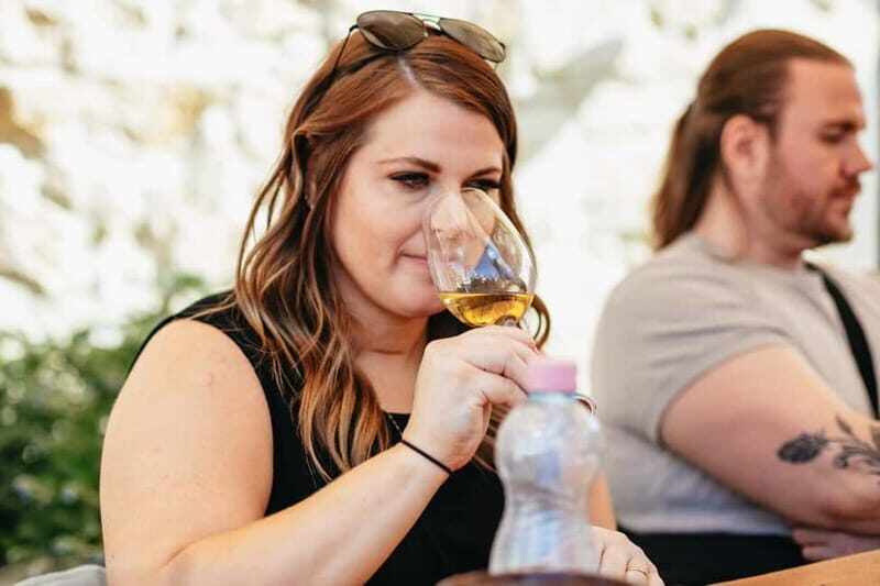 From Budapest: Etyek Wine Tasting Tour with 3-Course Meal - The Reviews, From the Guests’ Perspective