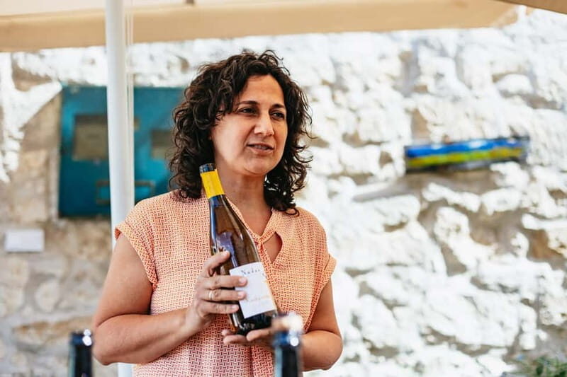 From Budapest: Etyek Wine Tasting Tour with 3-Course Meal - The Sum Up: Who Will Love This Experience?