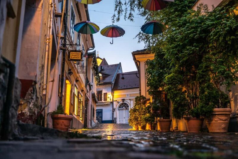 From Budapest: Full or Half Day Danube Bend Cruises - Good To Know