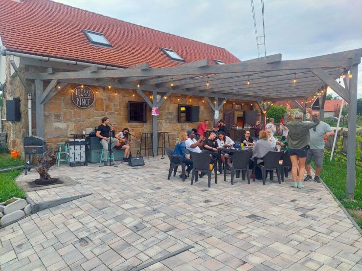 From Budapest: Half-Day Monor Wine Tour With Meal - Tour Details