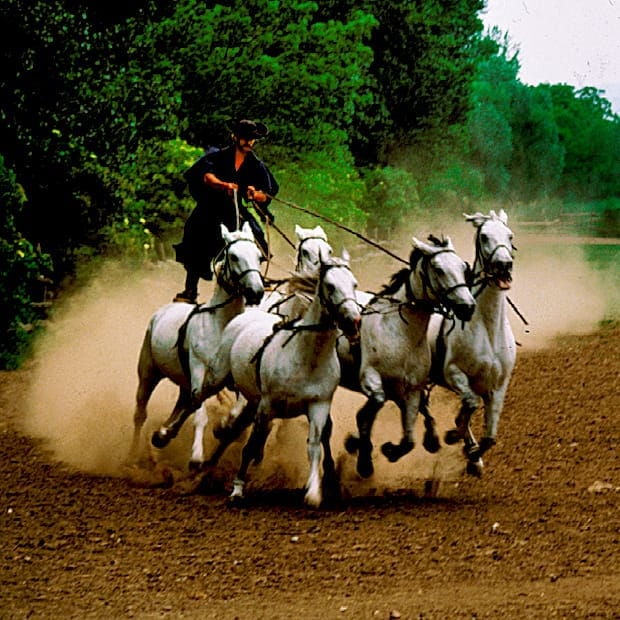 From Budapest: Puszta Horse Show and Countryside Visit - From Budapest: Puszta Horse Show and Countryside Visit — A Complete Guide