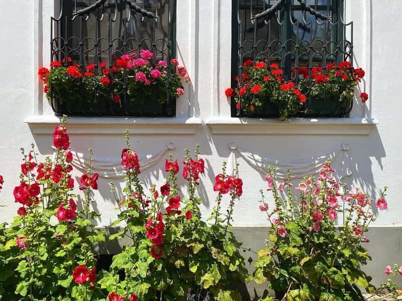 From Budapest: Szentendre Art and History with StreetFood - The Sum Up