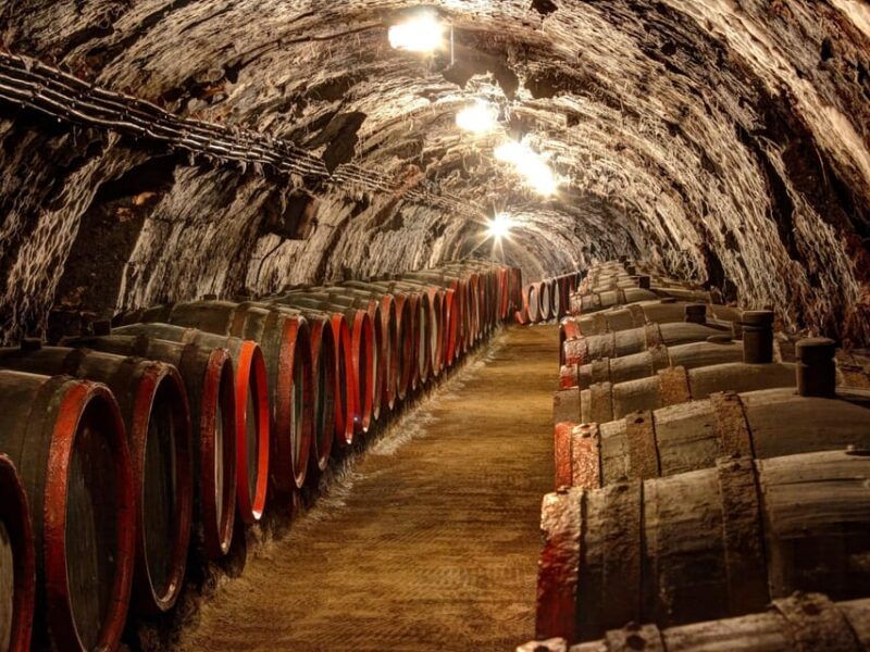 From Budapest: Tokaj Wine Tour with Tasting and Lunch - Good To Know