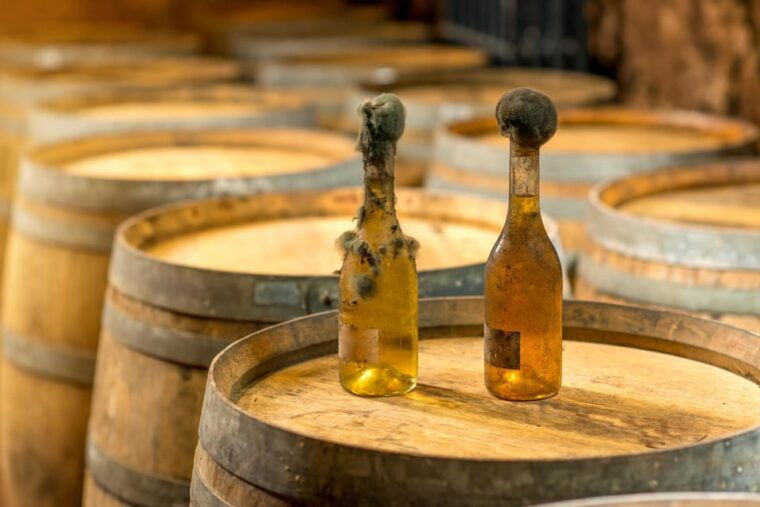 From Budapest: Tokaj Wine Tour with Tasting and Lunch - Tasting Experiences: More Than Just Sweet Wines
