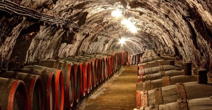 From Budapest: Tokaj Wine Tour With Tasting and Lunch - Key Points