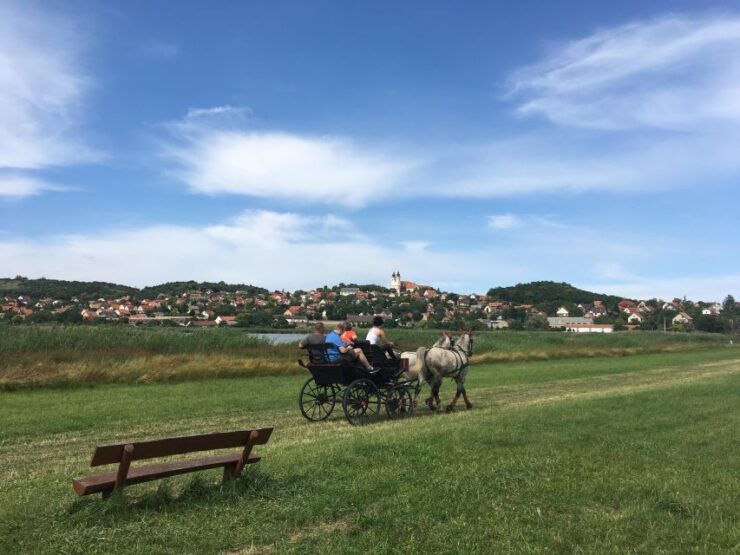 From Budapest: Wine Tasting At Balaton Full Day Private Tour - Activity Highlights