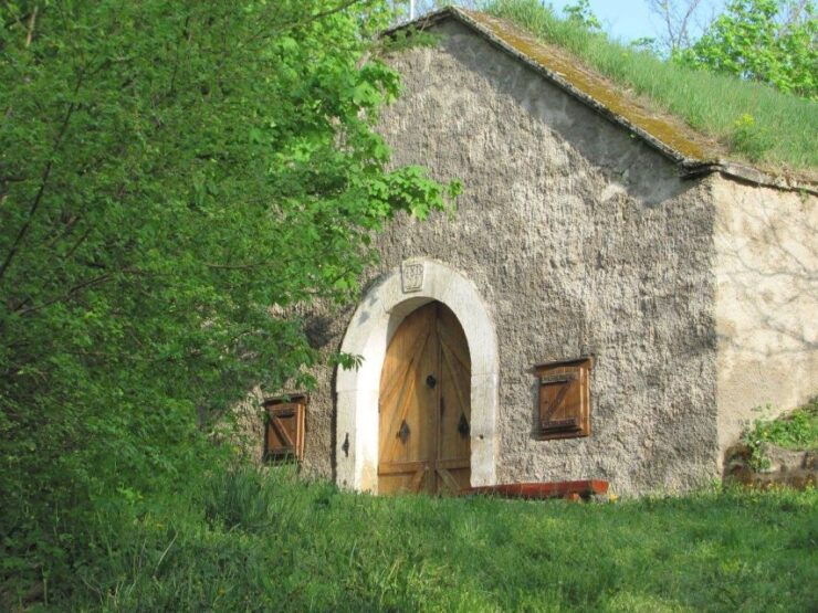 From Budpaest: Páty Wine Village Tour With Tastings - Tour Experience