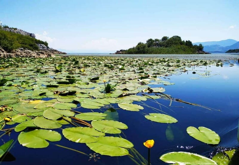 From Budva: Skadar Lake Land and Boat Tour - Practical Tips for Your Trip