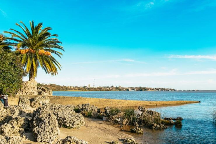 From Buenos Aires: Colonia Ferry Tickets and Optional Tour - Good To Know