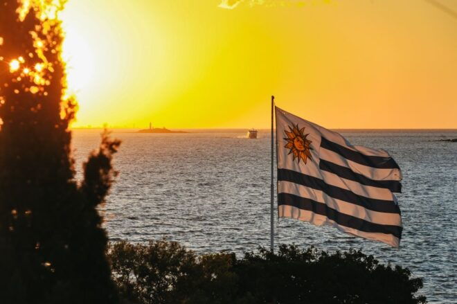 From Buenos Aires: Colonia Ferry Tickets and Optional Tour - Inclusions