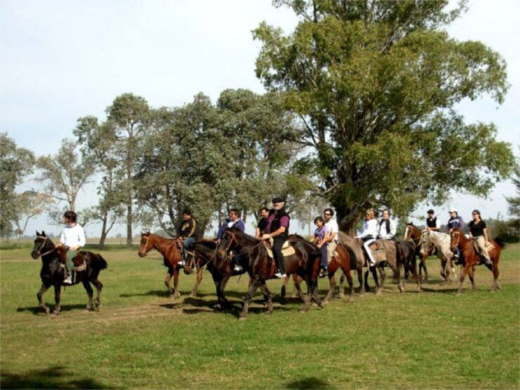 From Buenos Aires: Estancia Don Silvano Tour With Lunch. - Booking Details