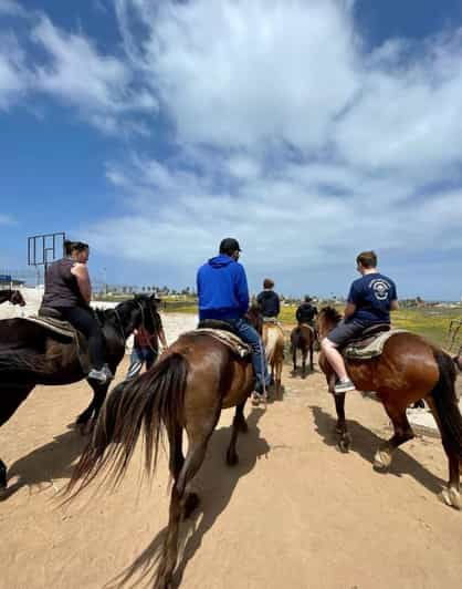 From Bufadora: Horseback Adventure - Good To Know