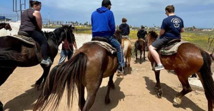 From Bufadora: Horseback Adventure - Experience Highlights