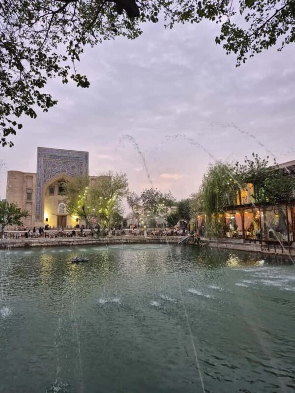 From Bukhara: Desert Safari Eco-Tour Experience - Good To Know