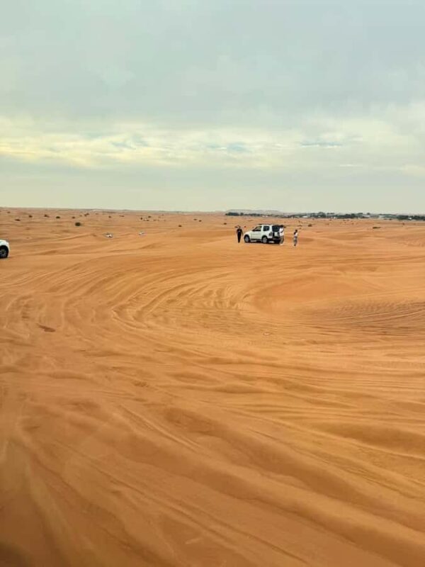 From Bukhara: Desert Safari Eco-Tour Experience - The Itinerary: What You Can Expect