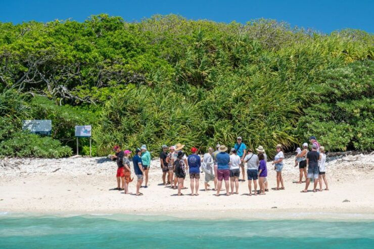 From Bundaberg: Barrier Reef & Lady Musgrave Island Day Tour - Activity Details