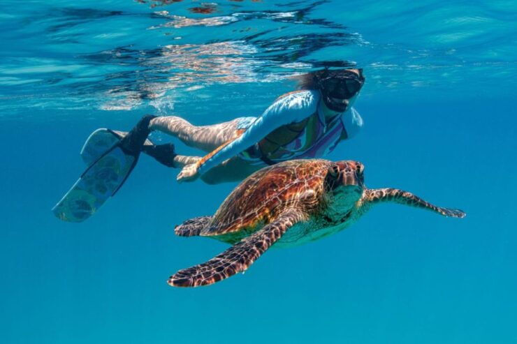 From Bundaberg: Barrier Reef & Lady Musgrave Island Day Tour - Tour Experience