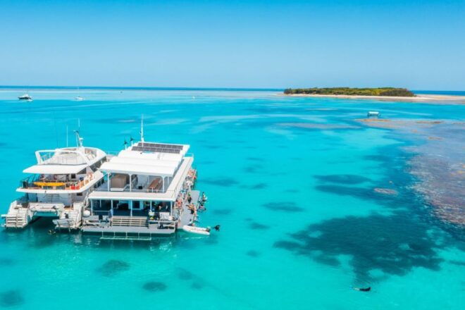 From Bundaberg: Barrier Reef & Lady Musgrave Island Day Tour - Full Description