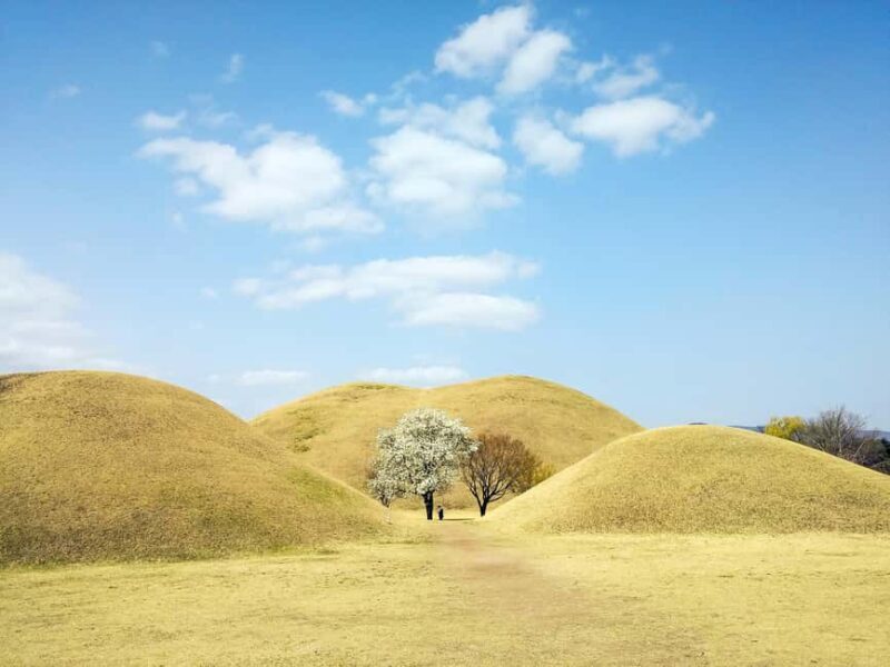 From Busan: Busan & Gyeongju One Day Tour - Examining the Value