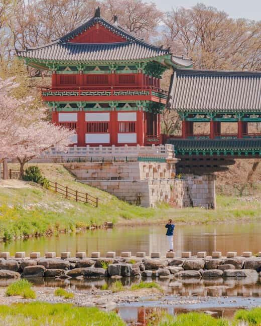 From Busan: Busan & Gyeongju One Day Tour - FAQ