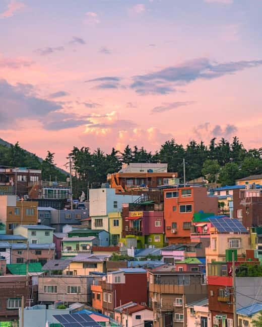 From Busan: Busan & Gyeongju One Day Tour - Final Thoughts  