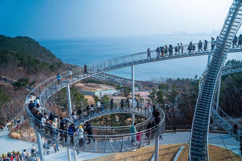 From Busan: Cheongsong Ice Valley & Pohang Spacewalk Tour - Who Will Love This Tour?