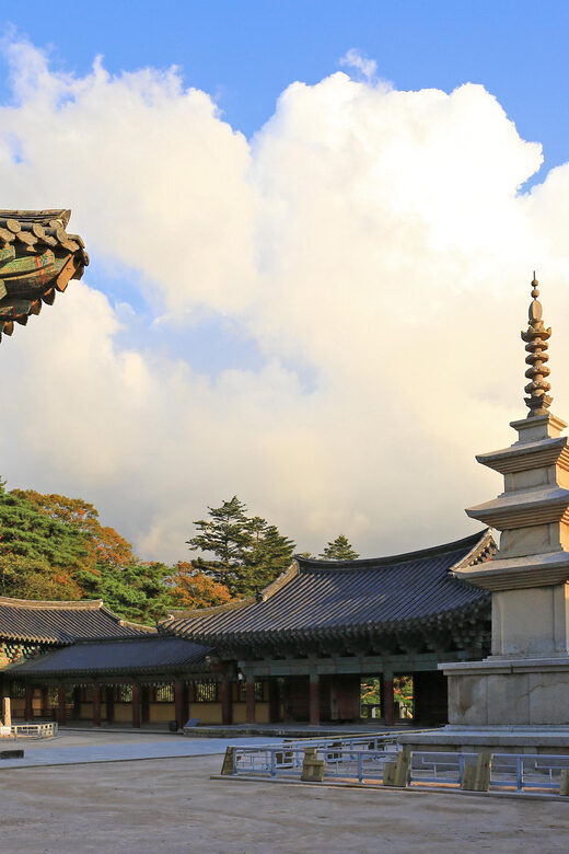 From Busan: Echoes of Silla Gyeongju Historical Day Tour - The Practicalities and Value