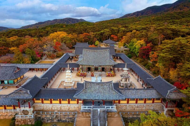 From Busan: Echoes of Silla Gyeongju Historical Day Tour - In The Sum Up