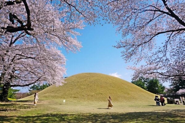 From Busan: Echoes of Silla Gyeongju Historical Day Tour - Customer Feedback and Reviews