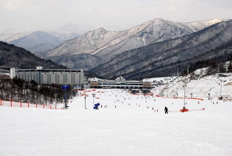 From Busan: Eden Valley Resort Ski and Winter Fun Tour - Tour Details and Highlights