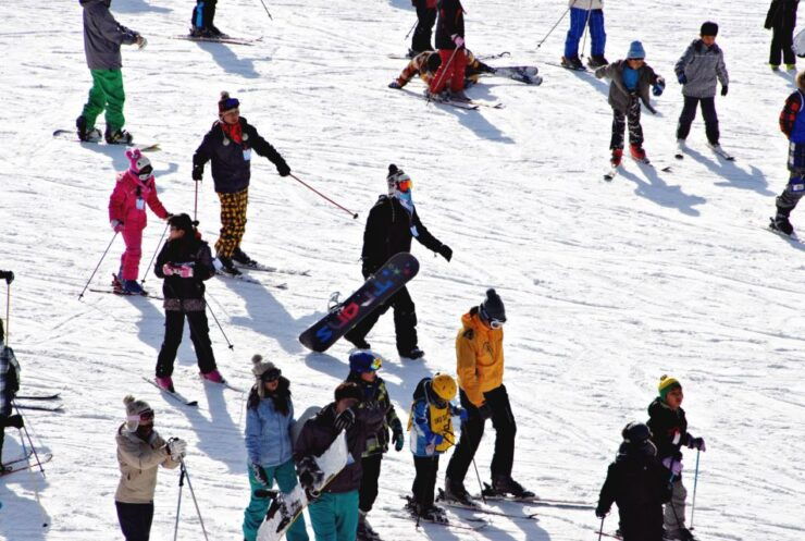 From Busan: Eden Valley Resort Ski and Winter Fun Tour - Inclusions and Options