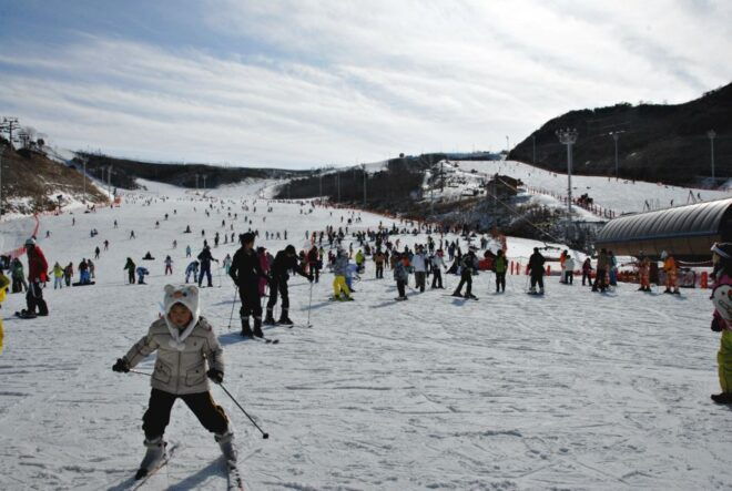 From Busan: Eden Valley Resort Ski and Winter Fun Tour - How to Reach Eden Valley From Busan