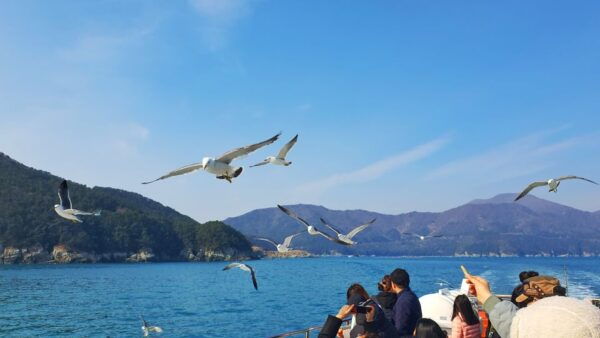 From Busan: Enchanting Oedo Botania Day Tour With Wind Hill - Review Summary and Recommendations