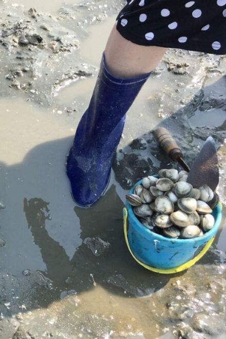 From Busan: Geoje Mudflat Experience and Korean Gourmet Food - Unique Mudflat Experience