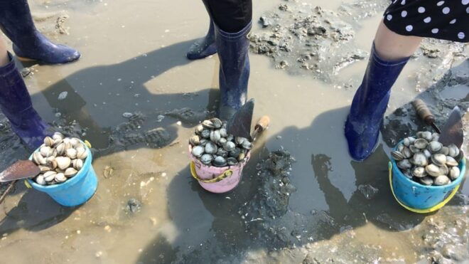 From Busan: Geoje Mudflat Experience and Korean Gourmet Food - Local Gourmet Food Highlights