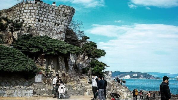From Busan: Geoje Mudflat Experience and Korean Gourmet Food - Important Preparation Tips