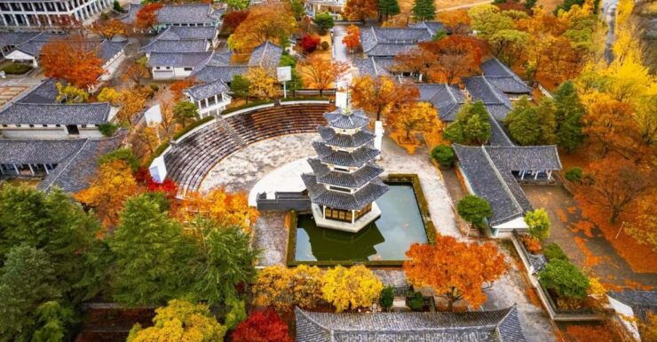 From Busan: Gyeongju Autumn Foliage One Day Tour - Key Points