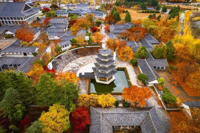 From Busan: Gyeongju Autumn Foliage One Day Tour - Departure Locations