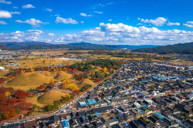 From Busan: Gyeongju Autumn Foliage One Day Tour - Inclusions and Exclusions