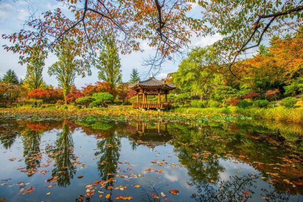 From Busan: Gyeongju Autumn Foliage One Day Tour - Transportation Information