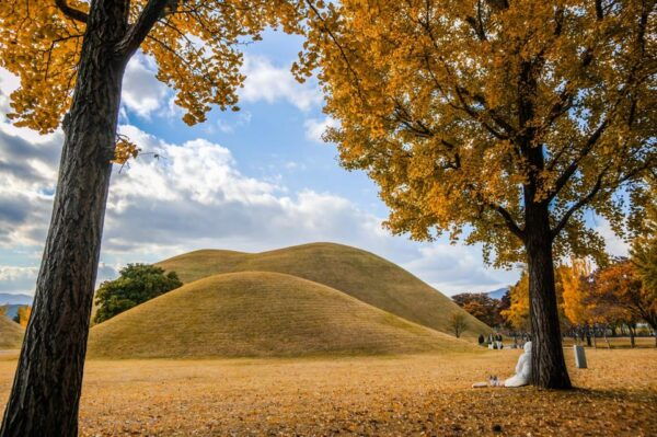 From Busan: Gyeongju Autumn Foliage One Day Tour - Important Travel Tips