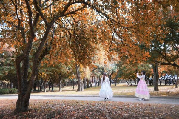 From Busan: Gyeongju Autumn Foliage One Day Tour - Booking and Cancellation Policy