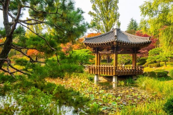 From Busan: Gyeongju Autumn Foliage One Day Tour - Questions You May Have