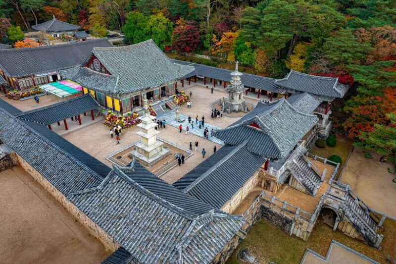 From Busan: Gyeongju Full-Day Historical Tour - Who Is This Tour Best For?