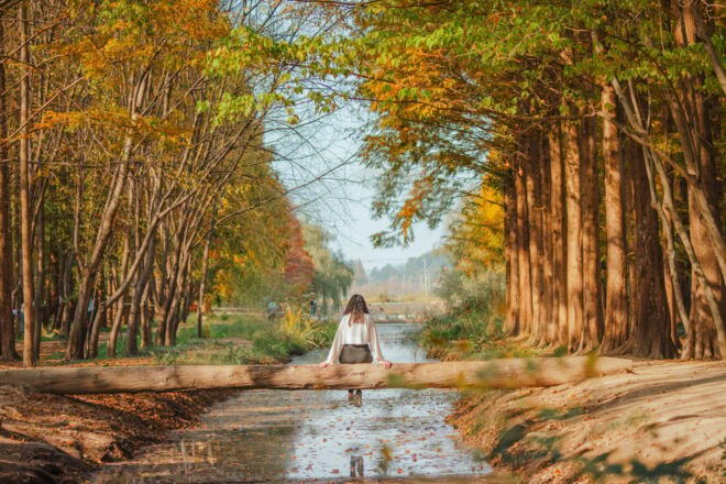 From Busan: Gyeongju Small Group Photo Tour (Max 7 Pax) - Cultural Significance