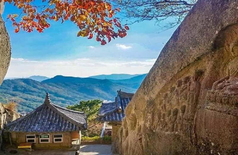 From Busan: Hidden Buddhist Temples Tour Private Day Trip - Who Would Love This Tour?