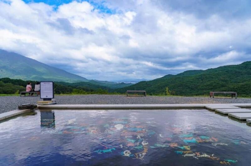 From Busan: Hidden Buddhist Temples Tour Private Day Trip - Who Should Consider This Tour?