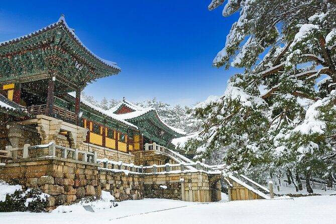 From Busan to Gyeongju UNESCO Legacy Tour with National Museum - Good To Know