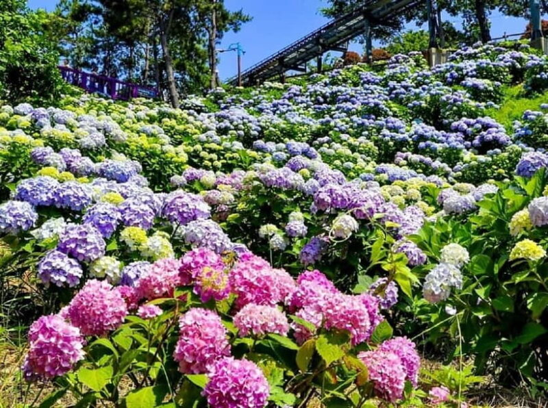 From Busan: Ulsan Full-Day Private Tour with Licensed Guide - FAQs